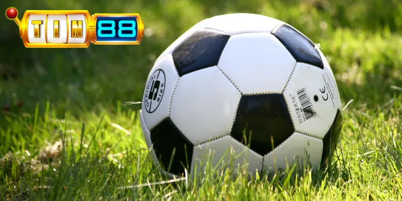 Một số cách nhận biết kèo dụ thông dụng